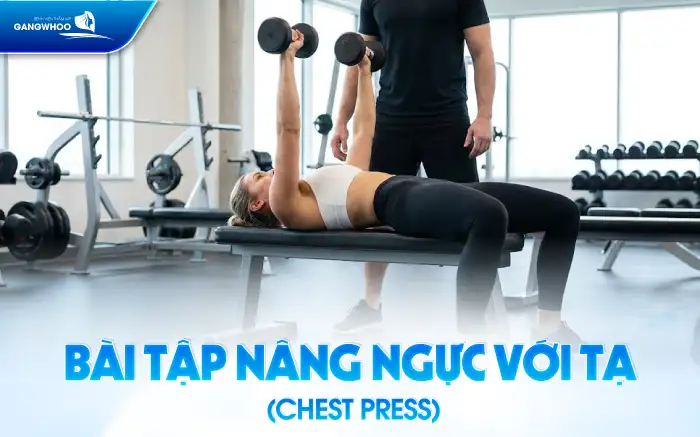 Tham khảo 11+ bài tập nâng ngực giúp tăng vòng 1 hiệu quả tại nhà