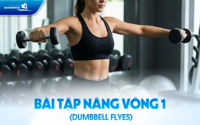 Tham khảo 11+ bài tập nâng ngực giúp tăng vòng 1 hiệu quả tại nhà