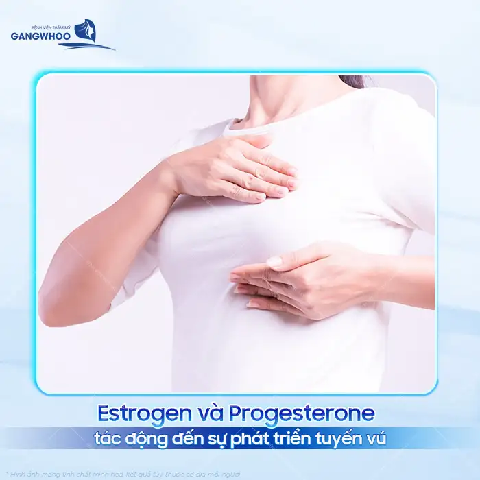 5+ cách nâng ngực ở tuổi dậy thì an toàn, hiệu quả