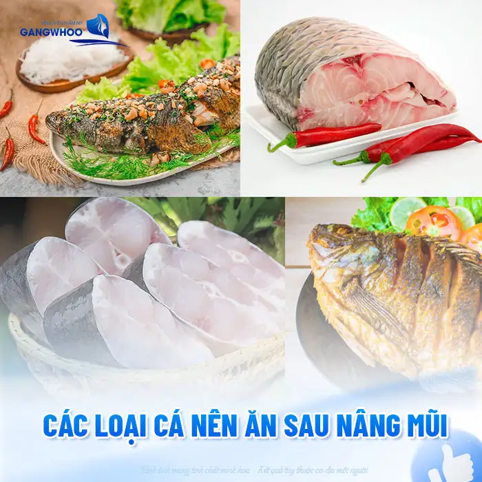 Sau nâng mũi có được ăn bún không? Có ảnh hưởng đến vết thương không?