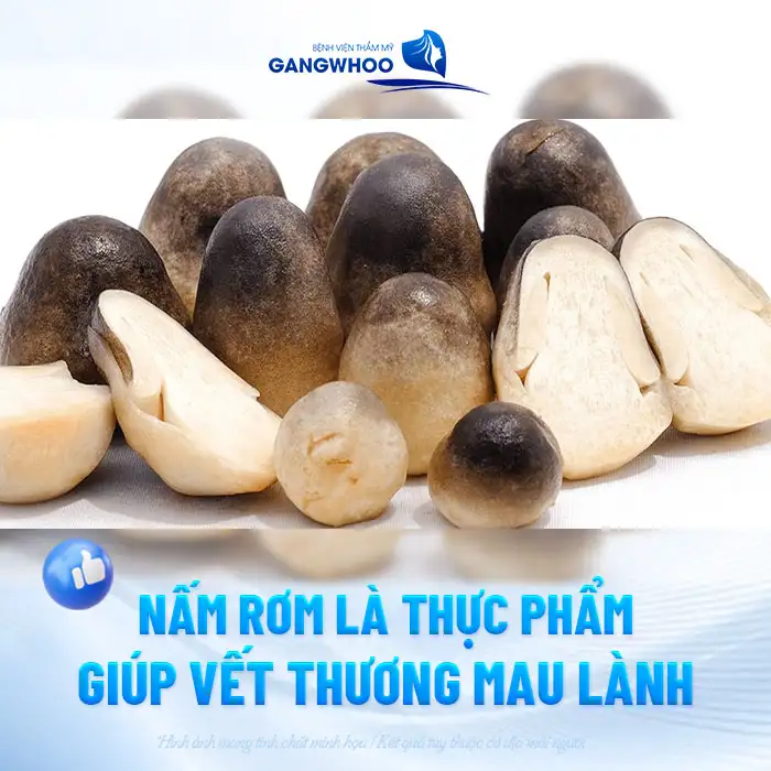 Nâng mũi ăn nấm rơm được không? Tác dụng của nấm rơm sau nâng mũi