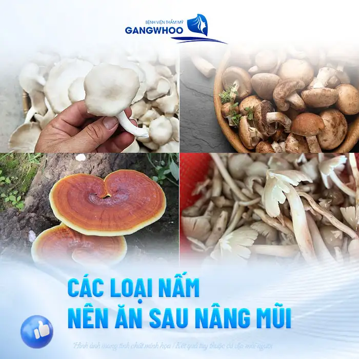 Nâng mũi ăn nấm rơm được không? Tác dụng của nấm rơm sau nâng mũi