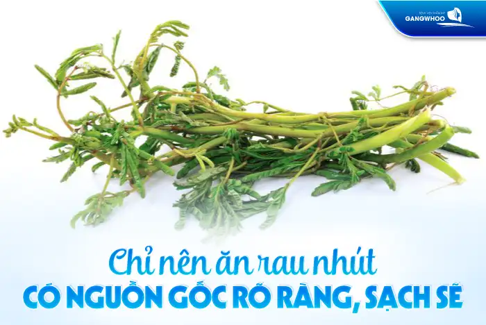 Nâng mũi ăn rau nhút được không? Có ảnh hưởng đến sức khỏe sau nâng mũi