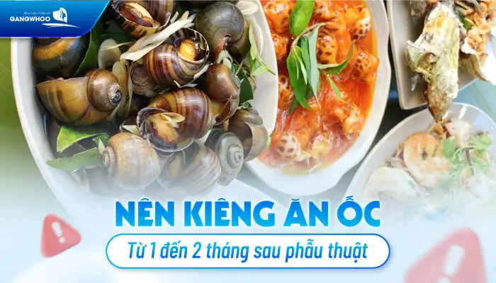 Nâng ngực có được ăn ốc không? Vì sao cần kiêng ăn ốc
