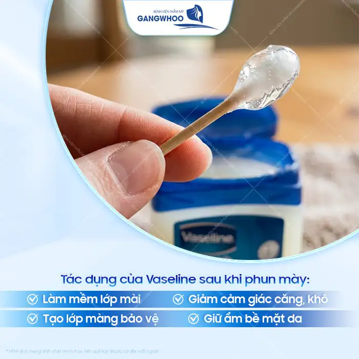 Bôi Vaseline sau khi phun mày có tốt không? Những lưu ý khi sử dụng