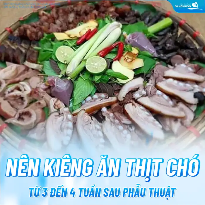 Cắt mí có ăn được thịt chó không? Nên kiêng ăn thịt chó bao lâu?