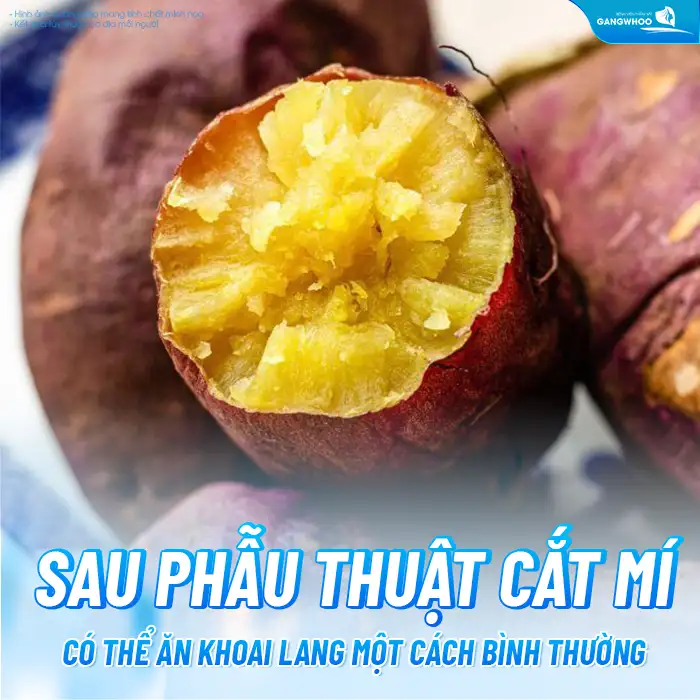 Cắt mí mắt có được ăn khoai lang không? Những lưu ý khi ăn khoai lang