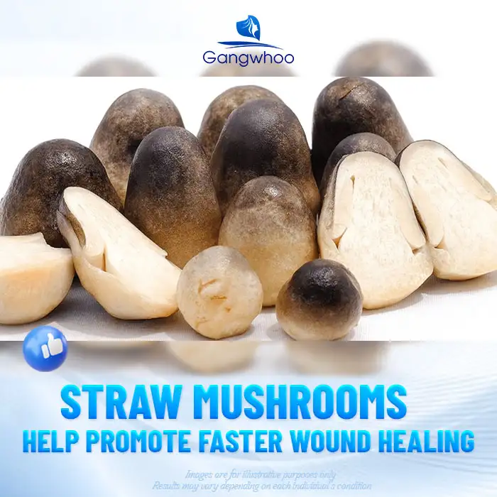 Can you eat straw mushrooms after rhinoplasty? The benefits of straw mushrooms after rhinoplasty