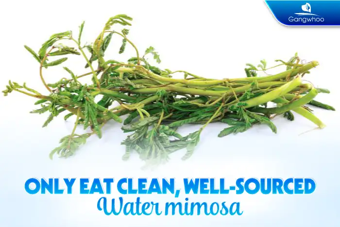 Can I eat tofu after rhinoplasty? Does it cause scarring after a nose job?