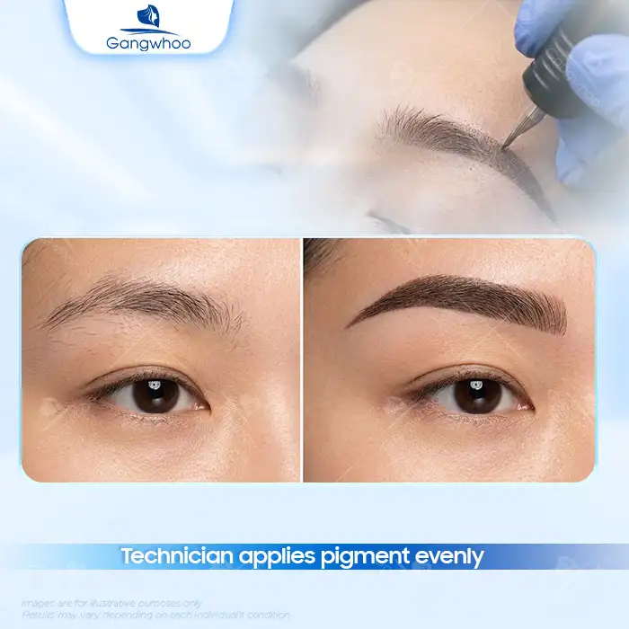 Understanding the Standard Basic Eyebrow Tattooing Procedure Today